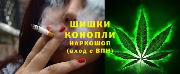 тгк Бронницы