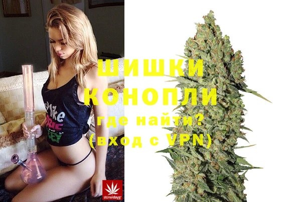 тгк Бронницы
