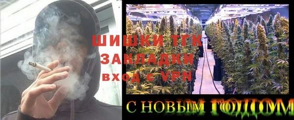 тгк Бронницы