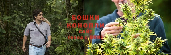 первитин Бородино