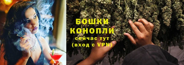 тгк Бронницы