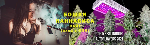 шишки Бугульма