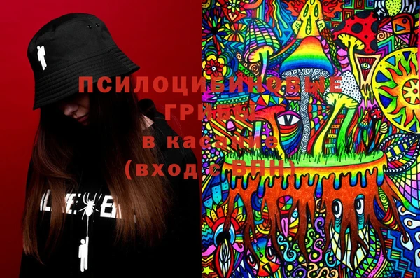 тгк Бронницы