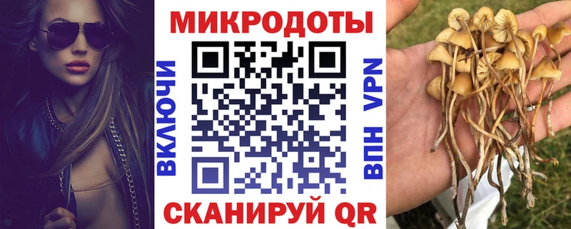 Псилоцибиновые грибы Cubensis  MEGA ссылка  Улан-Удэ 
